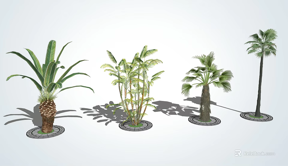 Various Arbor Trees Like Palm and Banana Arranged on White Background With Circular Bases 3d model 
