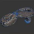 Brown and black patterned snake coiled on dark background with shiny skin and reflection 3d model