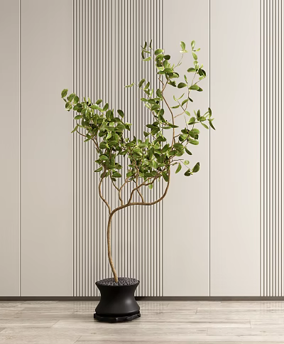 Bonsai Potted Plant With Lush Green Leaves And Modern Striped Wall Background 3d model