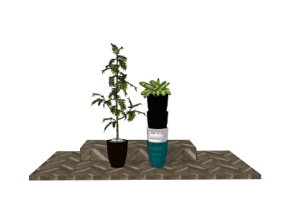 Modern Potted Plant 3d model