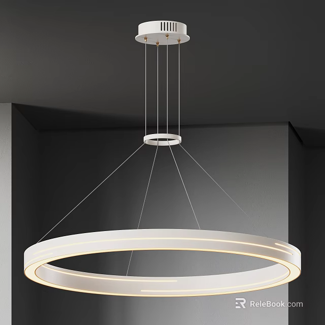 Modern Double Circular Pendant Light With LED Lighting Ceiling Mounted Interior Design 3d model