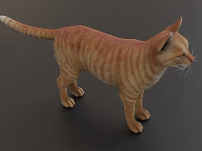 Orange Striped Reptile Lizard Standing On Black Background 3d model