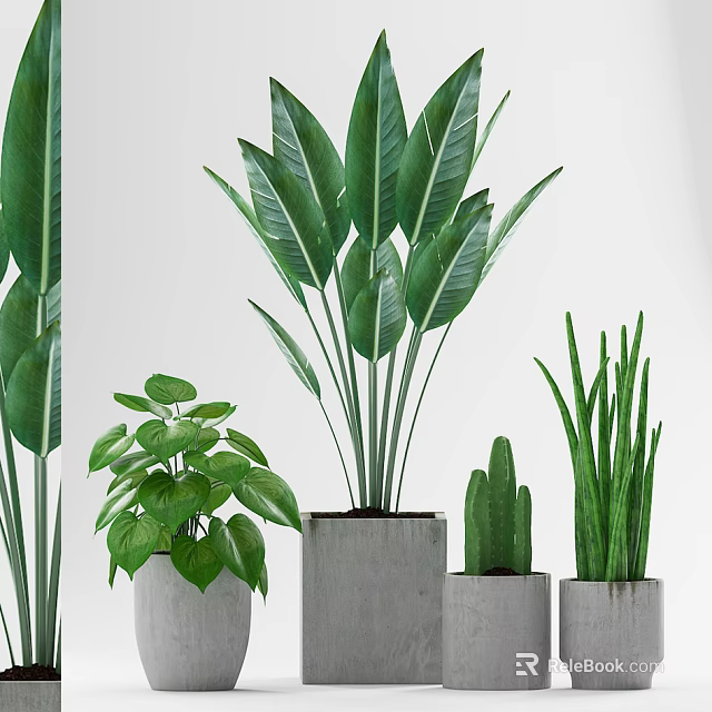 Various Green Leaf Potted Plants in Concrete Pots for Indoor Decoration 3d model 