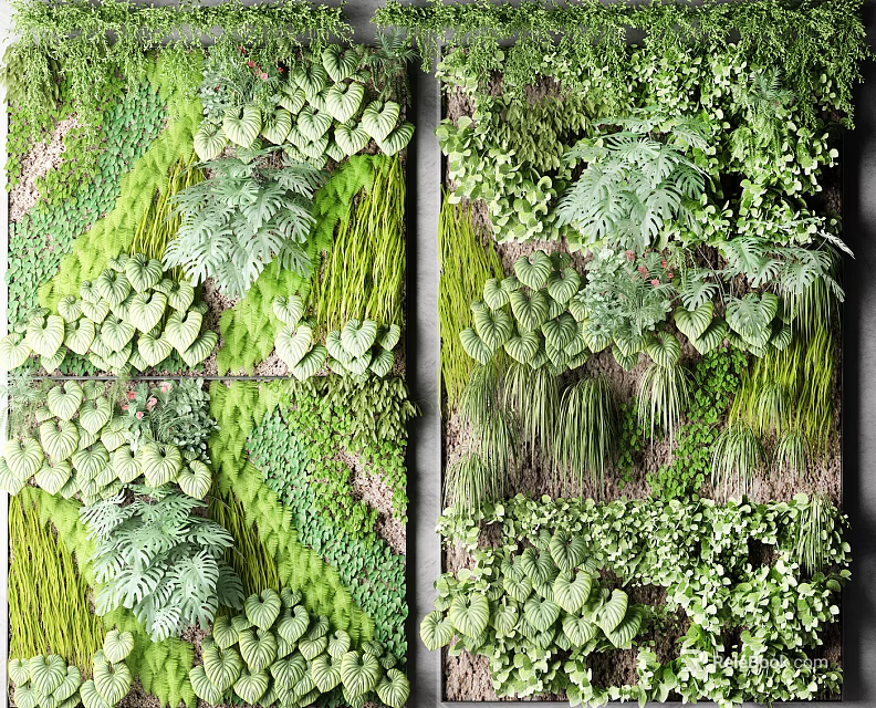 Lush Living Plant Wall With Various Green Plants And Foliage For Interior Decor 3d model 