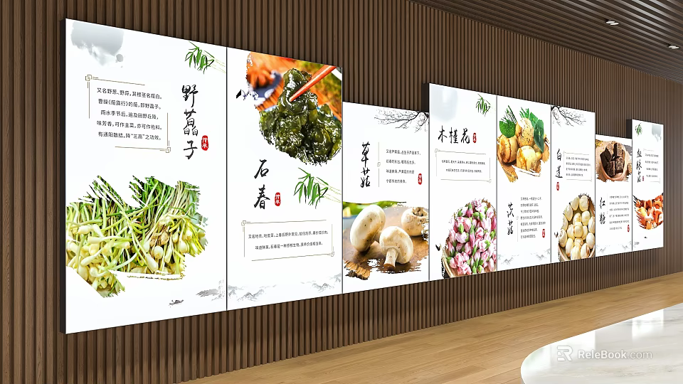 Chinese Style Wall Decoration With Botanical Posters Featuring Bamboo Shoots Stone Ear Mushrooms And Ginger 3d model 