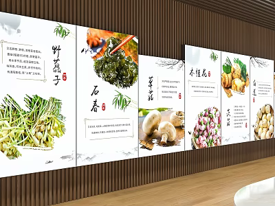 Chinese Style Wall Decoration With Botanical Posters Featuring Bamboo Shoots Stone Ear Mushrooms And Ginger 3d model