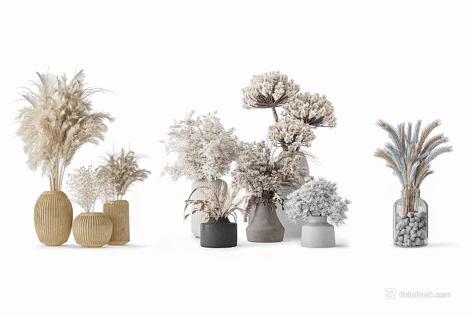 Decorative Vases With Dried Flowers Natural Tones And Various Shapes For Home Decor 3d model 