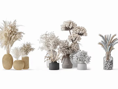 Decorative Vases With Dried Flowers Natural Tones And Various Shapes For Home Decor 3d model