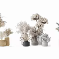 Decorative Vases With Dried Flowers Natural Tones And Various Shapes For Home Decor