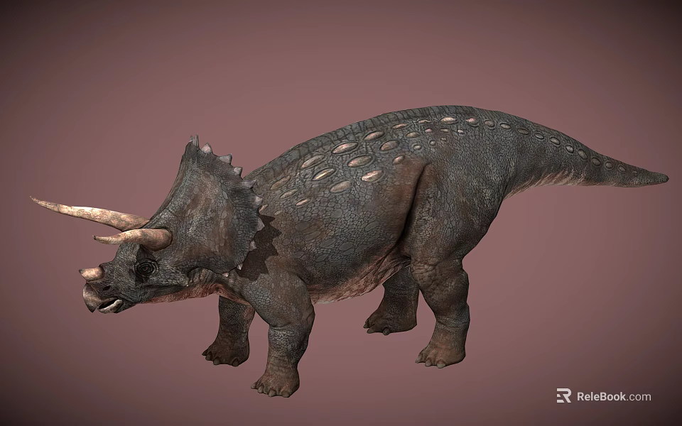 Triceratops Reptile with Three Horns Frill and Scaly Skin Detailed 3D Rendering 3d model 