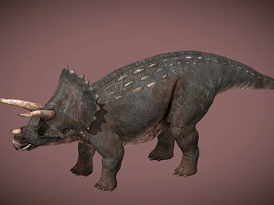 Triceratops Reptile with Three Horns Frill and Scaly Skin Detailed 3D Rendering 3d model