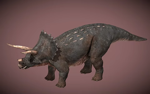 Modern Triceratops Dinosaur 3d model