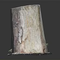 Natural Wooden Stump Decor with Stone Textured Base and Green Moss Details