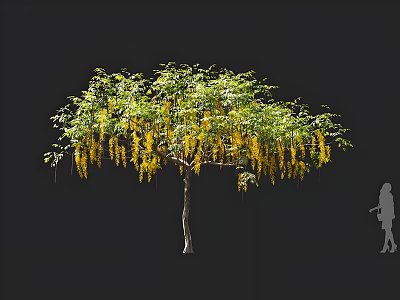 Lush Tree with Green Leaves and Yellow Hanging Flowers Against Dark Background and Person Nearby 3d model