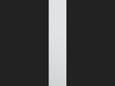 Modern Black And White Wall With Vertical White Accent Strip Design 3d model