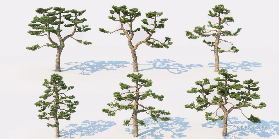 Different Shaped Trees with Green Foliage Brown Trunks and Shadows 3d model 