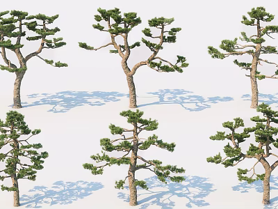 Different Shaped Trees with Green Foliage Brown Trunks and Shadows 3d model