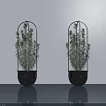 Two Black Metal Frame Potted Plants With Green Foliage On Smooth Gray Floor Light Wall