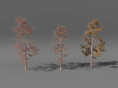 Three Colorful Arbor Trees With Red Yellow And Brown Foliage 3d model