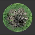Natural Wooden Stump Sculpture with Intricate Roots and Green Stone Base