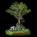 Tall Arbor Surrounded by White Flowers Orange Blooms Green Foliage and Lush Plants