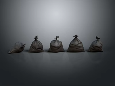 Five Practical Household Garbage Bags In Different Sizes With Sealed Tops 3d model