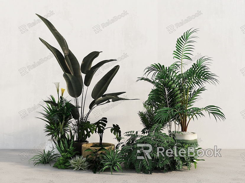 modern plant potted plant model