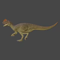 Horned Dinosaur 3D Model With Detailed Skin Texture And Standing Pose