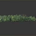 Lush Green Forest Scene With Small Wooden Cabins And Curved Path Surrounded By Trees
