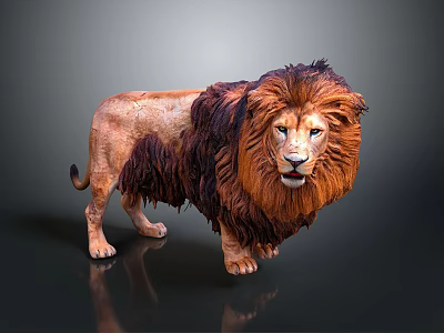 Detailed Realistic Lion With Majestic Brown Mane Standing On Dark Background 3d model