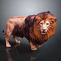Detailed Realistic Lion With Majestic Brown Mane Standing On Dark Background