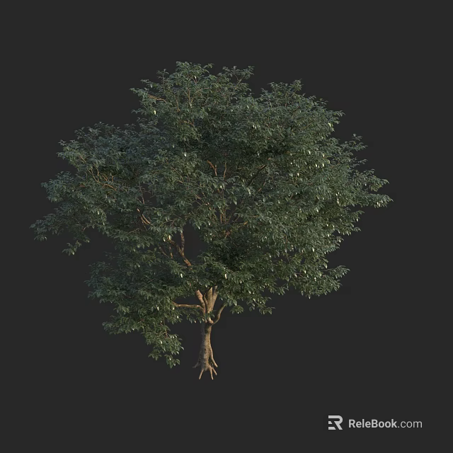 Lush Green Arbor With Dense Foliage And Sturdy Trunk Structure 3d model