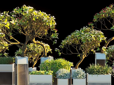 Decorative Bonsai Trees With Green Foliage And White Flowers In Stylish Planters 3d model