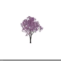 Tall Lush Arbor With Purple Flowers In Full Bloom And Human Silhouette