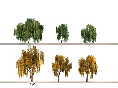 Green and Yellow Willow Trees with Different Foliage Colors Displayed in Two Rows 3d model
