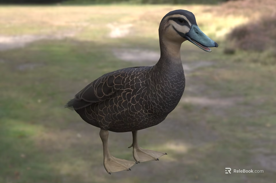 Brown Wild Duck With Blue Green Beak And Detailed Feather Pattern In Natural Grassland 3d model 