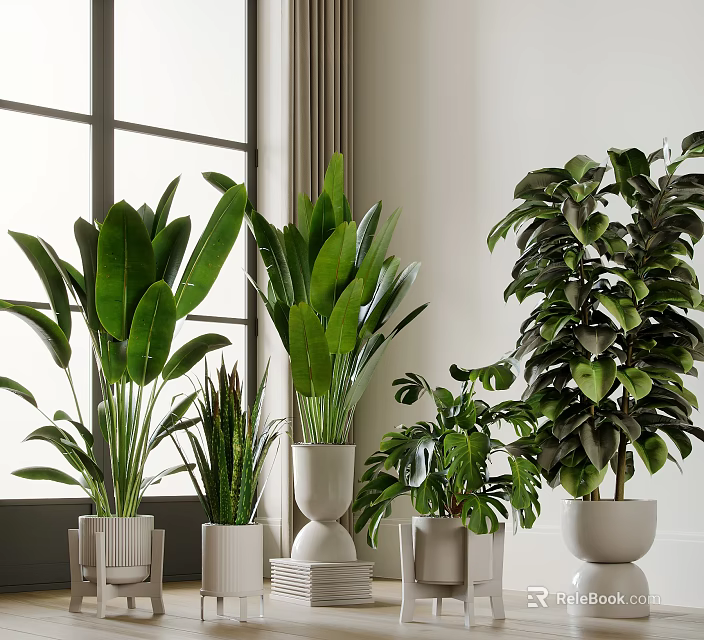 Indoor Potted Plants With Green Leafy Varieties In White Planters For Home Decor 3d model 