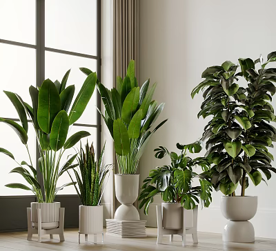 Indoor Potted Plants With Green Leafy Varieties In White Planters For Home Decor 3d model