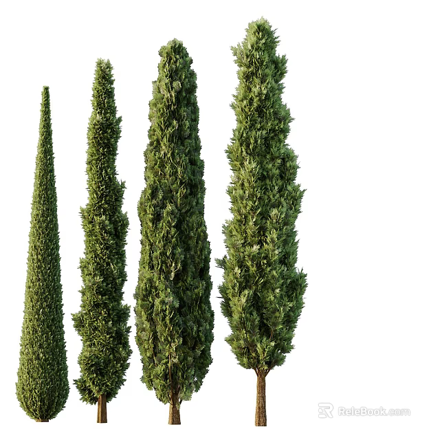 Tall Conical Evergreen Arbor Collection With Lush Green Foliage And Upright Shapes 3d model 