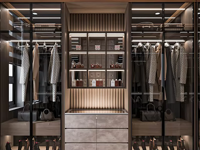 Glass Wardrobe Closet Clothes Cloakroom 3d model