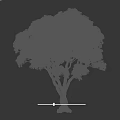 Tranquil Garden Landscape Featuring Large Tree With White Trunk Lush Green Foliage And Person Nearby