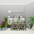 Bright Flower Shop With Colorful Bouquets Fresh Flowers Green Plants And Shelves