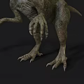Realistic Velociraptor Realistic Jurassic Animal Dinosaur Velociraptor Reptile Movie Game 3d model