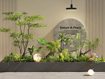 Indoor Landscape With Nature Peace Theme Green Plants And Moon Decoration 3d model