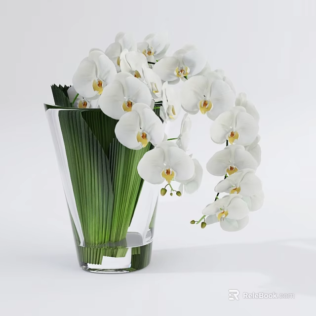 Elegant Transparent Glass Vase With White Orchids And Green Leaves For Home Decor 3d model 
