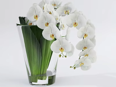 Elegant Transparent Glass Vase With White Orchids And Green Leaves For Home Decor 3d model