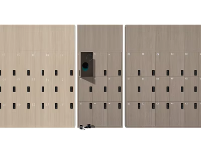 Modern Lockers Side by Side With Central Black Square Compartment and Small Items 3d model