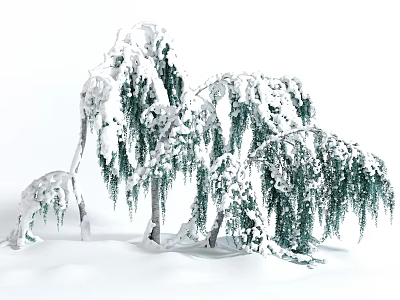 Snow Covered Weeping Willow Arbor with Drooping Branches in Winter Landscape 3d model