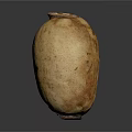 Fresh Organic Lotus Root With Natural Brown Spots And Smooth Surface Texture