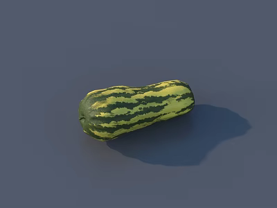 Green and Yellow Striped Squash Vegetable on Gray Background with Natural Texture 3d model